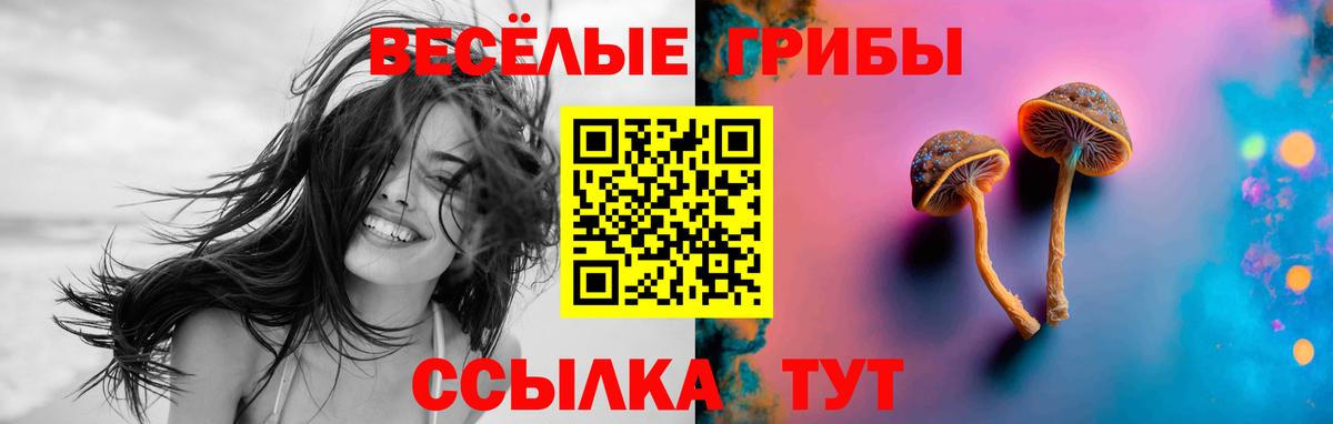 Галлюциногенные грибы Psilocybe  Вход с VPN  Галлюциногенные грибы Psilocybine cubensis  Артёмовский 